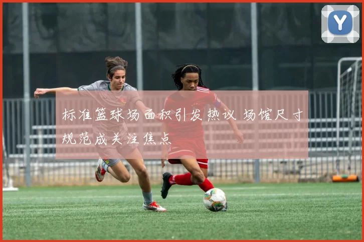 标准篮球场面积引发热议 场馆尺寸规范成关注焦点