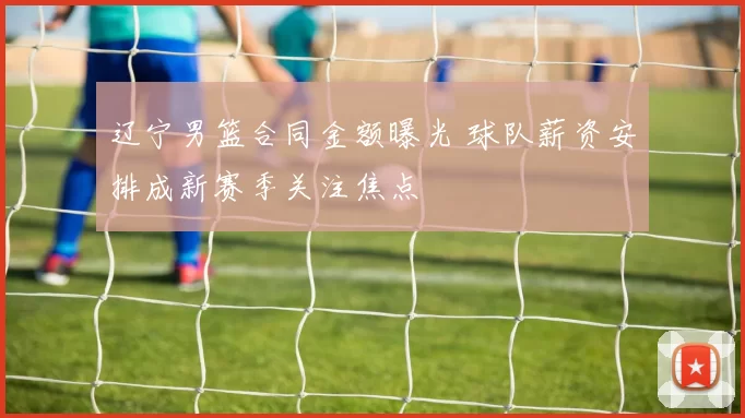 辽宁男篮合同金额曝光 球队薪资安排成新赛季关注焦点