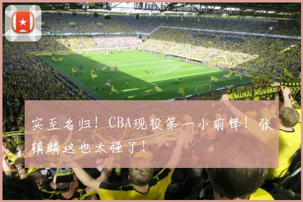 实至名归!CBA现役第一小前锋!张镇麟这也太强了!