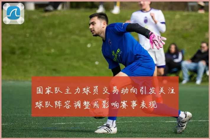 国家队主力球员交易动向引发关注球队阵容调整或影响赛事表现