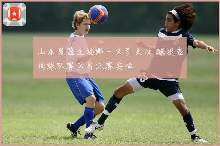 山东男篮主场哪一文引关注 球迷查询球队赛区与比赛安排