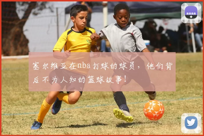 塞尔维亚在nba打球的球员，他们背后不为人知的篮球故事！