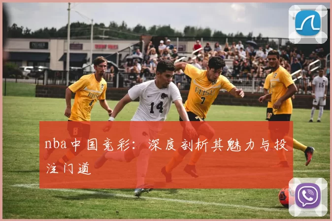 nba中国竞彩：深度剖析其魅力与投注门道