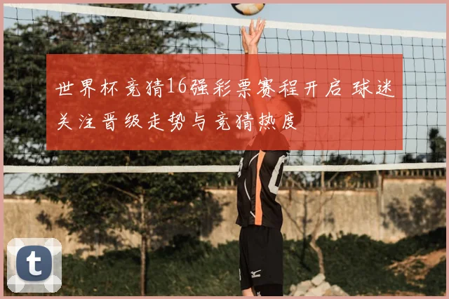 世界杯竞猜16强彩票赛程开启 球迷关注晋级走势与竞猜热度